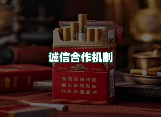 核心优势
